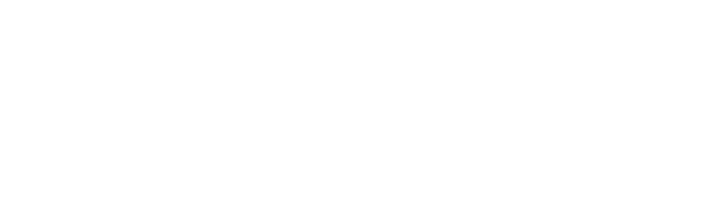 Pegas Touristik